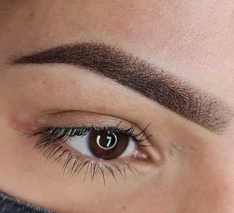 Cejas con microshading efecto polvo
